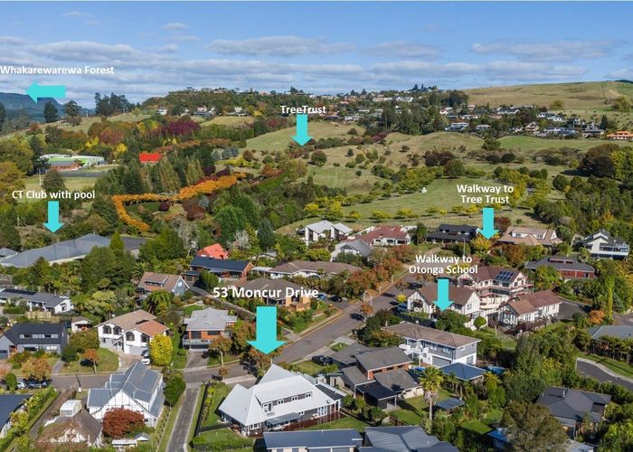  at 53 Moncur Drive, Springfield, Rotorua, Bay Of Plenty
