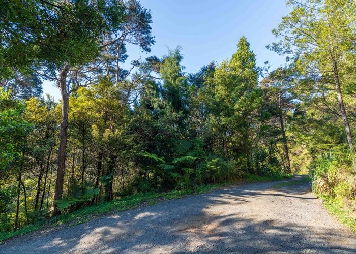  at 19 Hayes Road, Henderson Valley, Waitakere City, Auckland