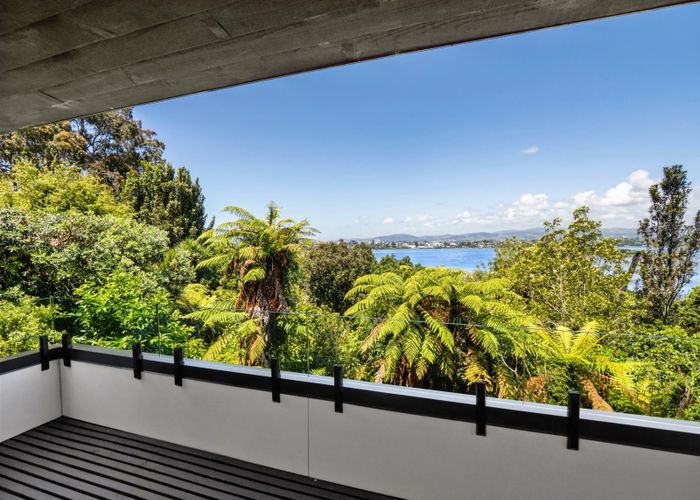  at 19 Stratford Place, Otumoetai, Tauranga, Bay Of Plenty