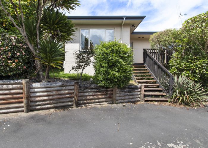  at 8 Alison Street, Hamilton Lake, Hamilton