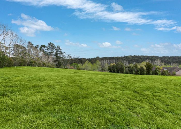  at 39 Robinson Road, Albany