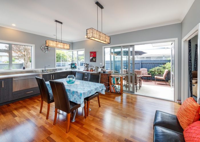  at 66 Newcastle Street, Terrace End, Palmerston North