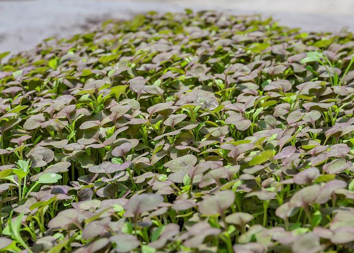  at 410A Whatitiri Road, Poroti, Whangarei