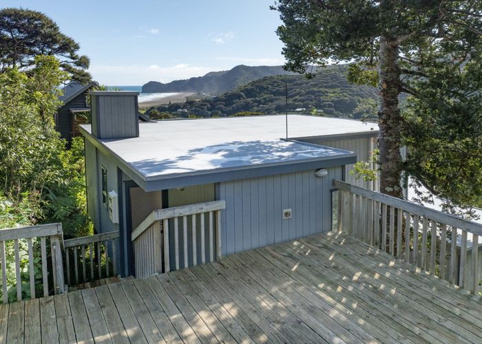  at 19 Rayner Road, Piha, Waitakere City, Auckland