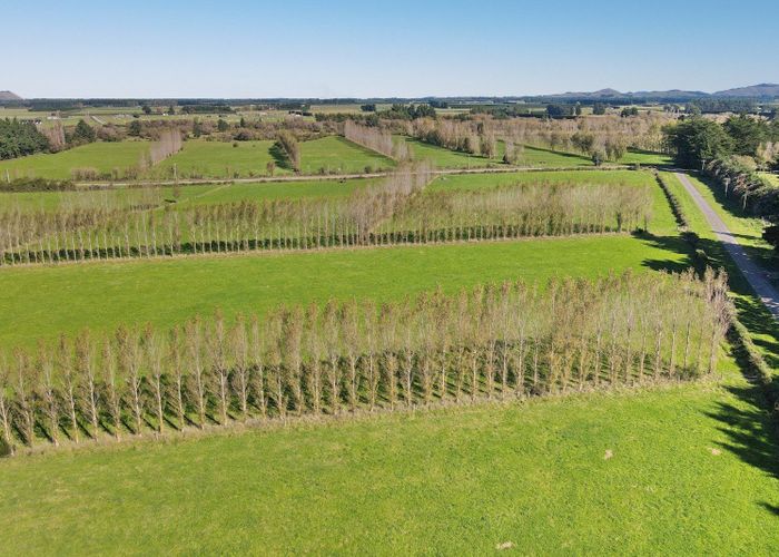  at 117 Sladdens Farm Road, Oxford, Waimakariri, Canterbury