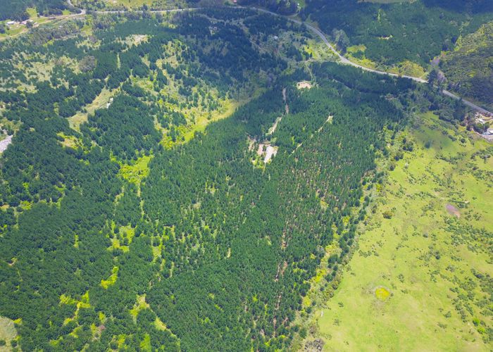  at 0 Broadwood Road, Broadwood, Kohukohu