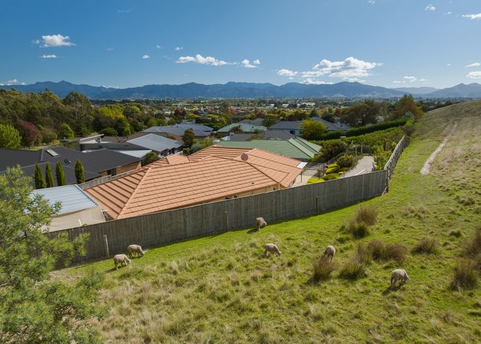  at 61 Forest Park Drive, Witherlea, Blenheim