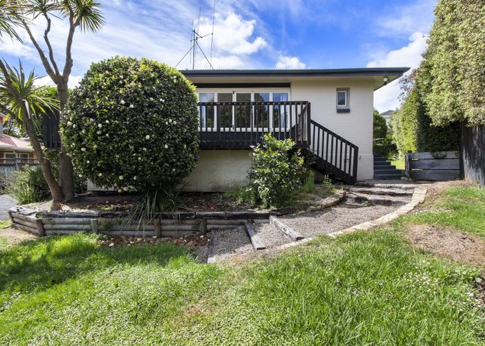  at 8 Alison Street, Hamilton Lake, Hamilton