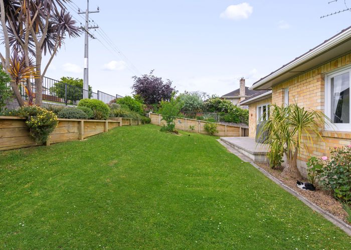  at 17 Rata Street, Maeroa, Hamilton