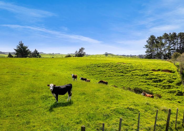  at 838 Mangorei Road, Mangorei, New Plymouth, Taranaki