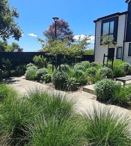  at 36 Wharara Lane, Massey, Waitakere City, Auckland