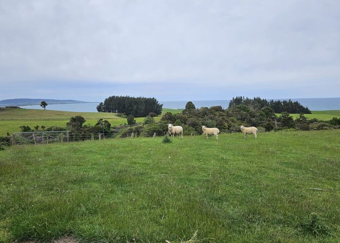  at 61 Tinico Road, Kaka Point, Clutha, Otago