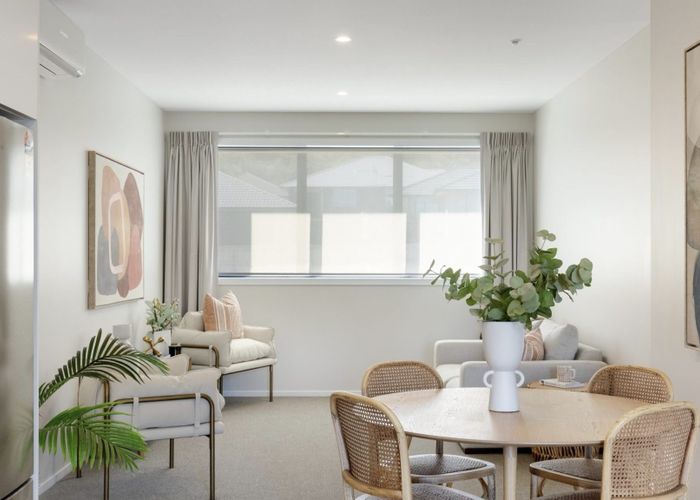  at 16 Harapa Way, Brookfield, Tauranga