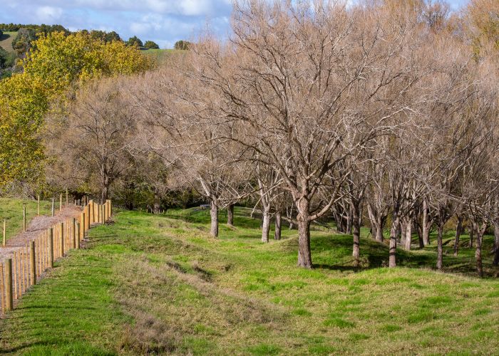  at 291 Oruawharo Road, Topuni