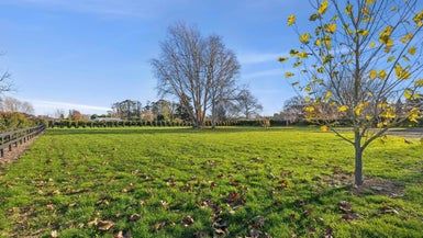  at 49D Rosebanks Drive, Hamilton