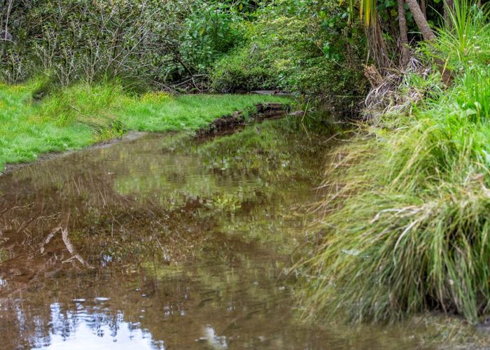  at 49 Esmeralda Avenue, Avondale, Auckland City, Auckland