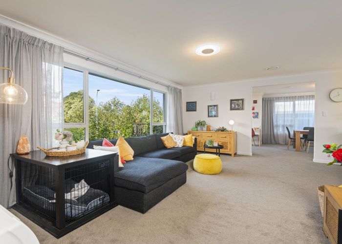  at 33 Newcastle Street, Hokowhitu, Palmerston North