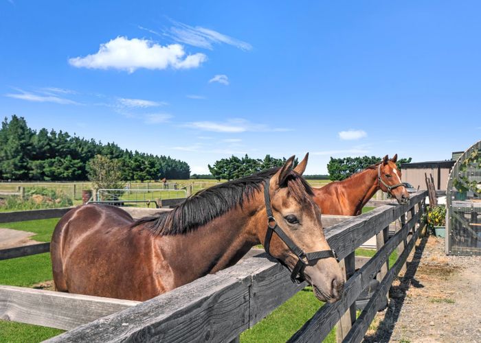  at 171 Mcphedrons Road, Oxford, Waimakariri, Canterbury