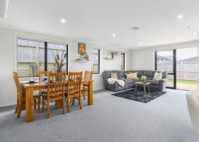  at 17 Branca Close, Fitzroy, Hamilton