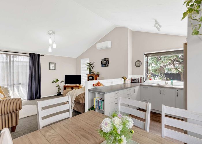  at 6 Mercury Street, Milson, Palmerston North