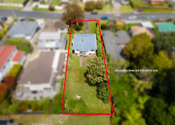  at 19 Bardia Street, Belmont, Auckland