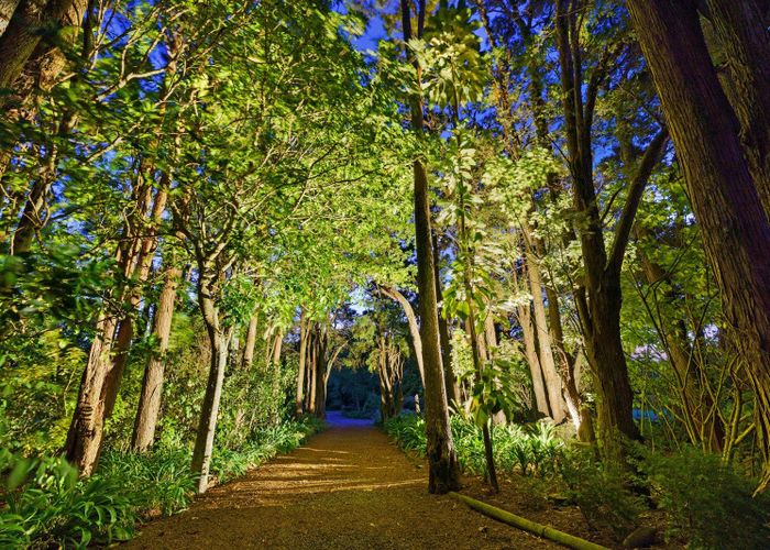  at 423 Otaki Gorge Road, Hautere