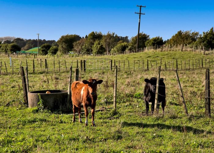 at 124A Mountain Road, Sentry Hill, New Plymouth