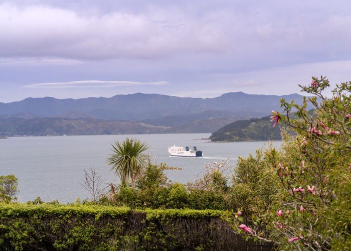  at 17 Butavas Street, Khandallah, Wellington, Wellington