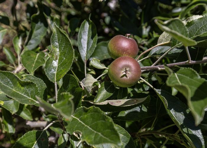  at 90 Kiwi Road, Raumati Beach, Paraparaumu