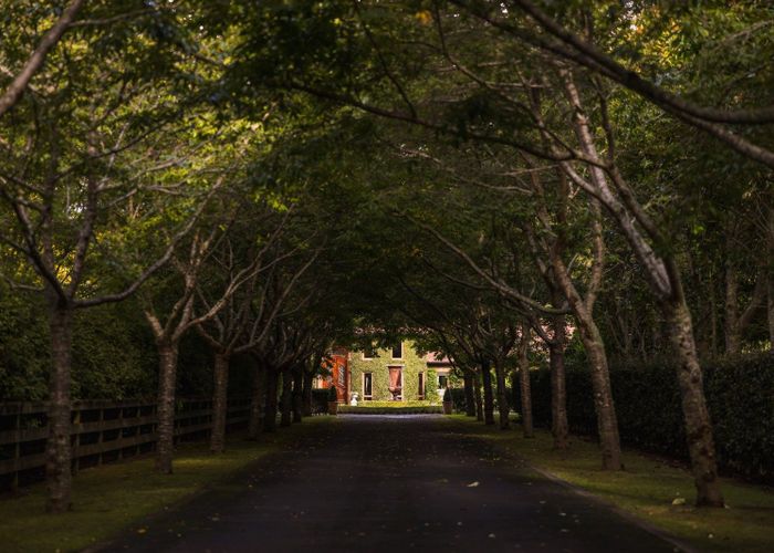  at 16e Davidson Lane, Tamahere, Waikato, Waikato