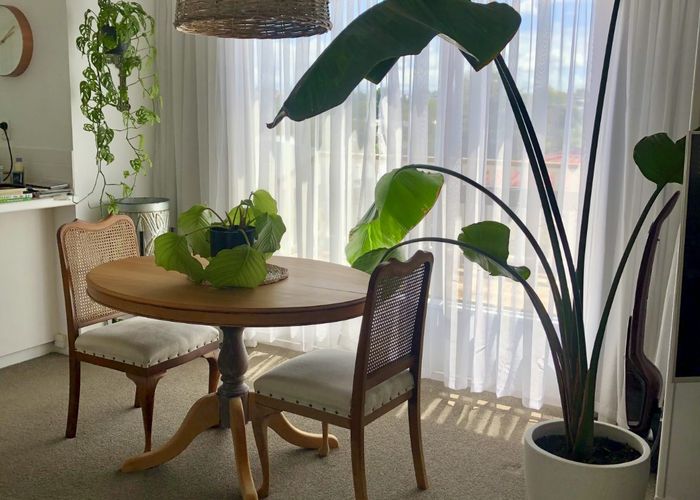  at 18A Bellevue Drive, Brookfield, Tauranga, Bay Of Plenty