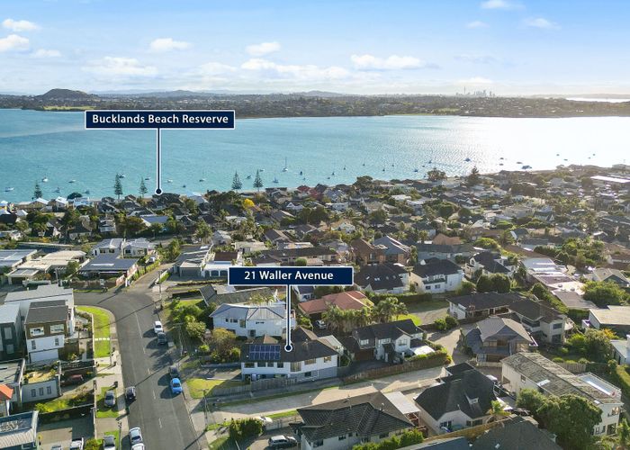  at 21 Waller Avenue, Bucklands Beach, Auckland