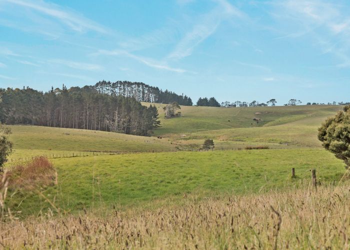  at 64 Haszard Road, Taupaki, Rodney, Auckland