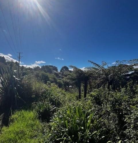  at 50 Kitewaho Road, Swanson, Waitakere City, Auckland