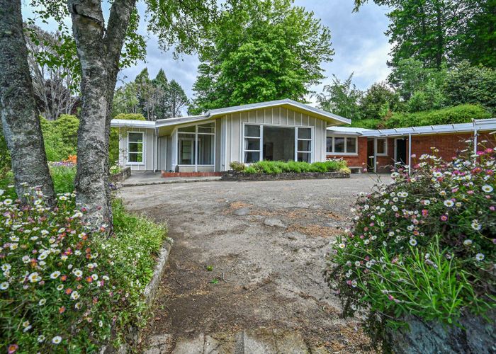  at 558 Old Coach Road, Te Pohue, Hastings, Hawke's Bay