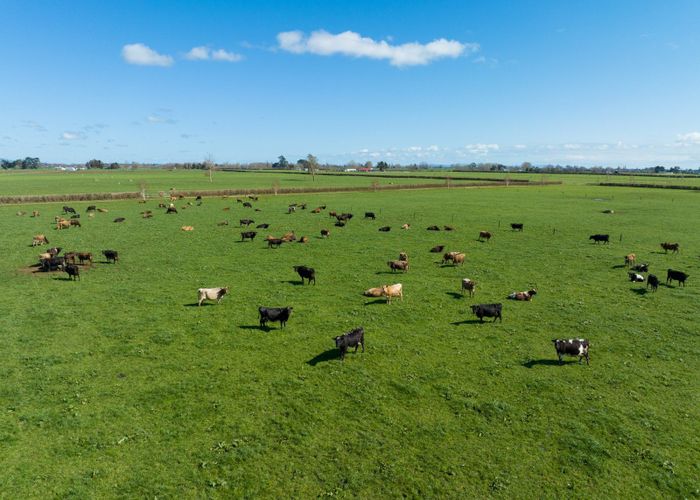  at Maiseys Road, Matamata, Matamata-Piako, Waikato