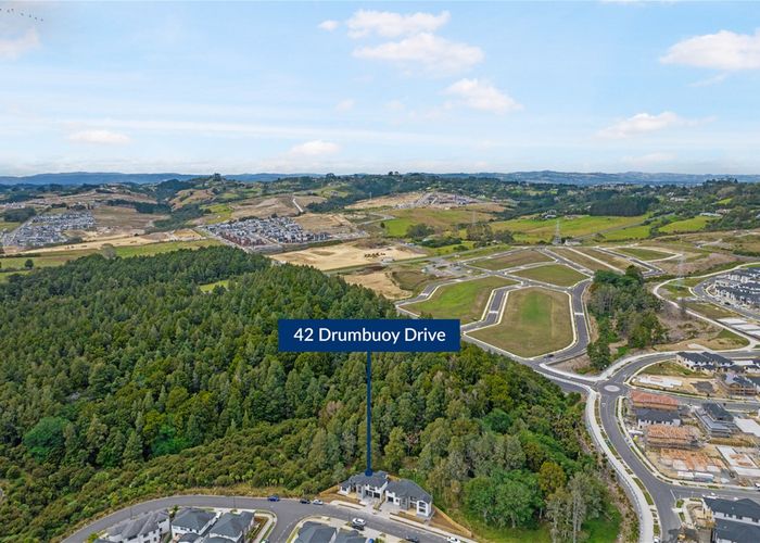  at 42 Drumbuoy Drive, Flat Bush, Auckland