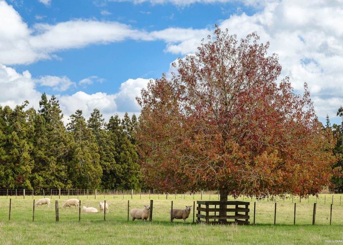 at 1/205C Ingram Road, Bombay, Franklin, Auckland