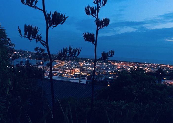  at 47 Russell Street, City Centre, Dunedin, Otago