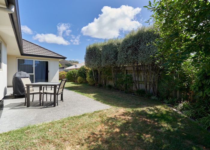 at 11b Merlot Drive, Poraiti, Napier, Hawke's Bay