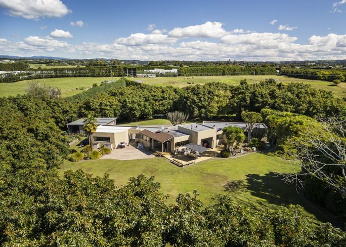  at 55C Taupata Street, Paengaroa, Western Bay Of Plenty, Bay Of Plenty