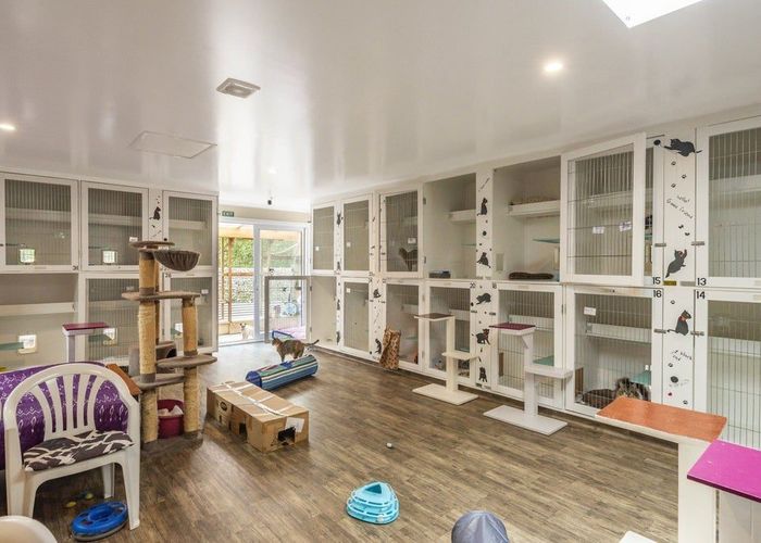  at 222 Main Road South, Raumati South, Kapiti Coast, Wellington