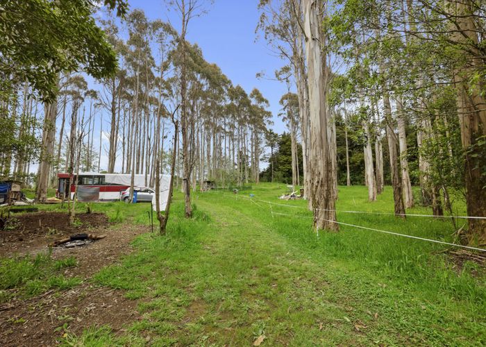  at 1256 Carrington Road, Hurworth, New Plymouth