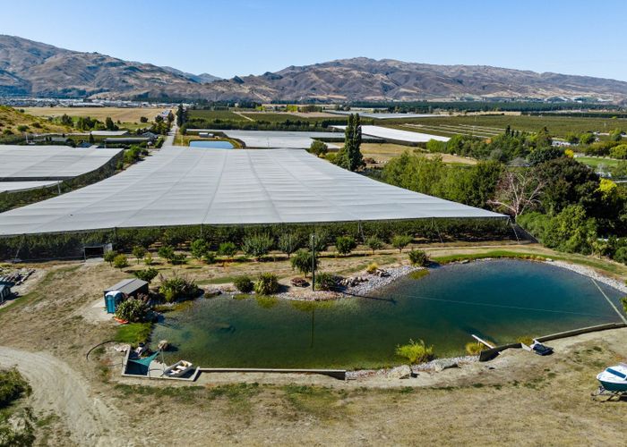  at 260 Ripponvale Road, Cromwell, Central Otago, Otago