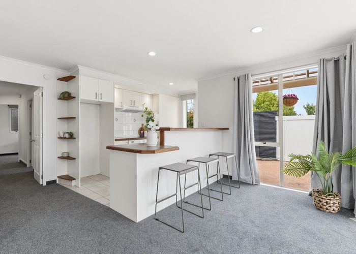  at 22B Otumoetai Road, Judea, Tauranga, Bay Of Plenty