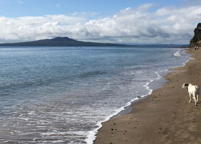  at 16C Hastings Road, Mairangi Bay, North Shore City, Auckland