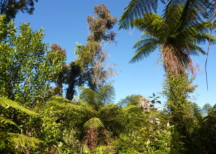 at 35 Mokihinui Preserve, Seddonville, Westport