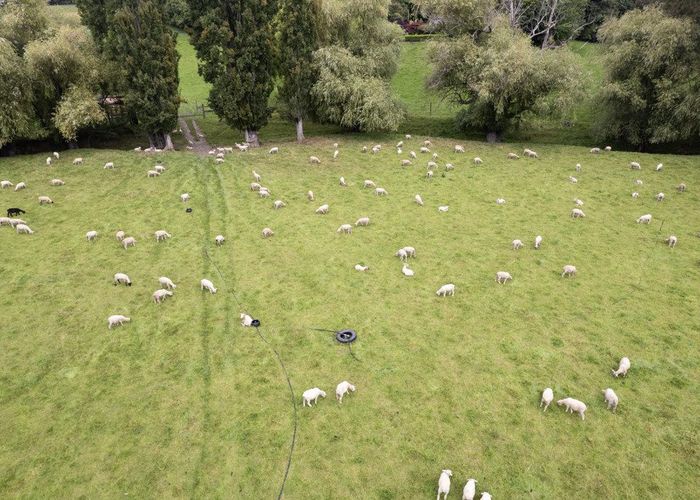  at 53 Horse Gully Road, Oamaru, Waitaki, Otago