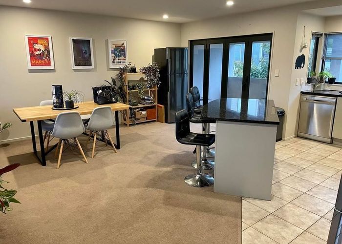  at 17C Mount Smart Rd, Royal Oak, Auckland City, Auckland