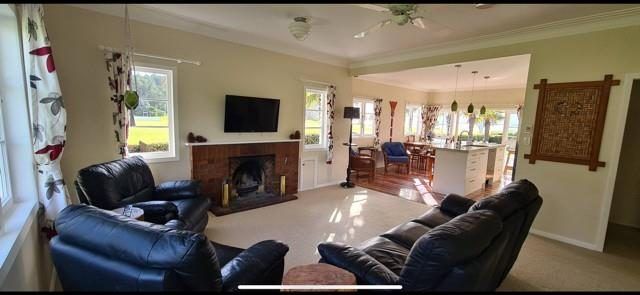  at 549 Leigh Road, Matakana, Rodney, Auckland